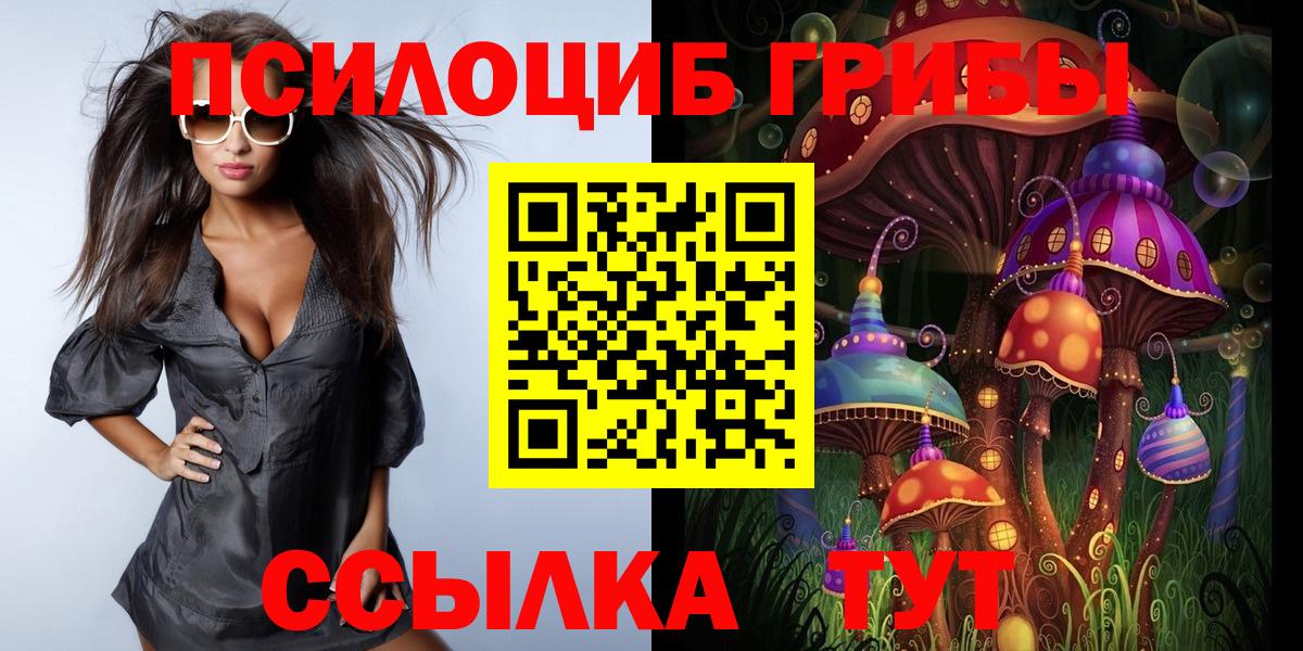 купить  цена  Вход с VPN  Аксай  Псилоцибиновые грибы прущие грибы 
